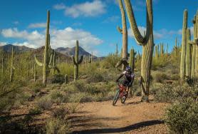 Tucson's Outdoor Adventures - by Visit Tucson